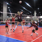 BVA Volleyball Leagues